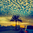 th5jk2-yDj4-channel-avatar-abdullhALharbi