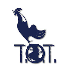 Tottenham On Tour net worth
