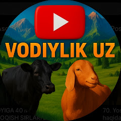 VODIYLIK UZ
