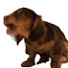mFTNYwb5bzA-channel-avatar-KookyKracks