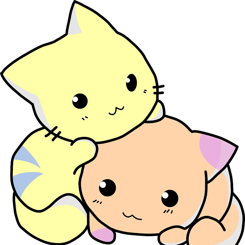 드라마 보는 냥이