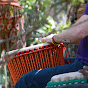 Forrest Matthews Kaloum Djembe - @kaloumdjembe - Youtube
