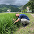 zzMUUqJkkpQ-channel-avatar-RuralTottori / Japan Countryside Rural Life