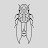 @BrainflyWubs's avatar
