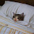 @Nightsprouts