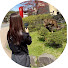-I1_MRobTXY-channel-avatar-うっかり七兵衛、旅にでる