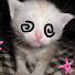 6mMC367L8-U-channel-avatar-luvghqst