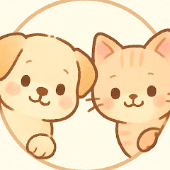 빼꼼
