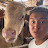 Cow&Me