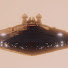 j3Dh4waWR0E-channel-avatar-MrFunnyShark