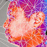 Yk5y2jA6fgA-channel-avatar-老罗真啰嗦