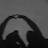 @Ghazl_sturis_84