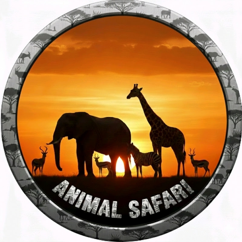 Hire Animal Safari  — Pets & Animals YouTube creator for sponsorships