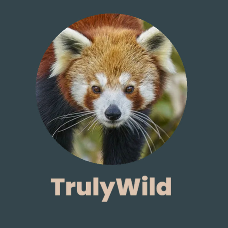 TrulyWild