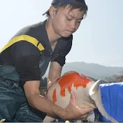 丸筑魚苑 -Maruchiku Koi Farm-