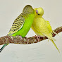 Parrots Aviary Farm logo