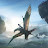 @DorldWomimation Avatar