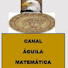 -3NPa7IqXfM-channel-avatar-CANAL ÁGUILA MATEMÁTICA