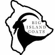 Big Island Goats