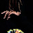 @unwillingfan4494 Avatar