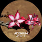 Adenium World logo