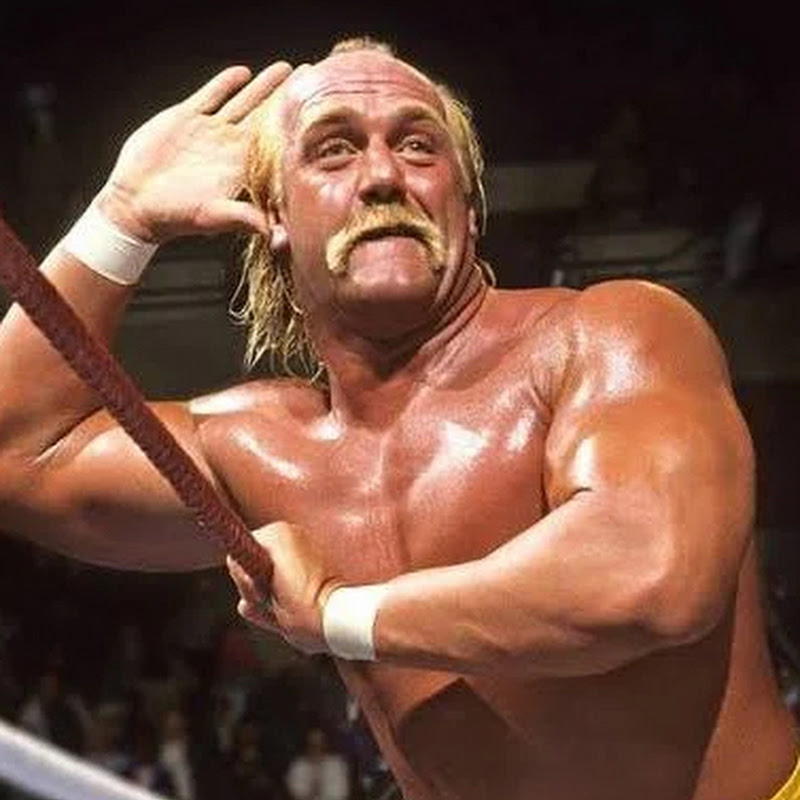 Hulk Hogan 