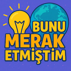 Bunu Merak Etmiştim