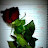 @mjeballhhaidar9568