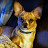 @JRM30006's avatar