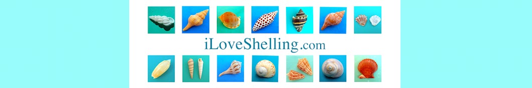 i Love Shelling YouTube channel avatar