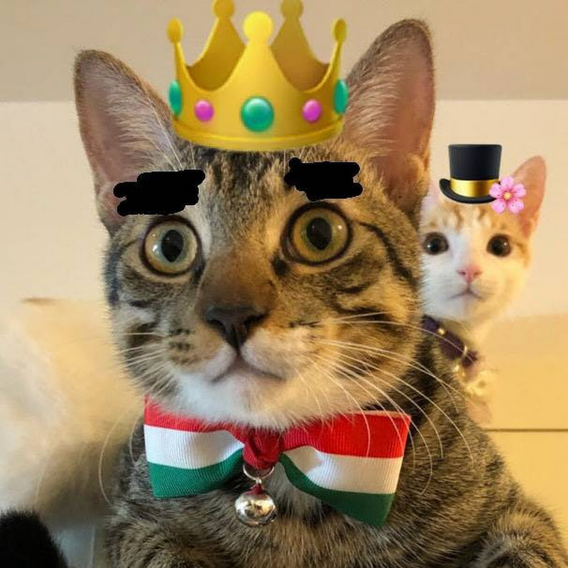 Hum Ha 2 Mi哼哈2咪