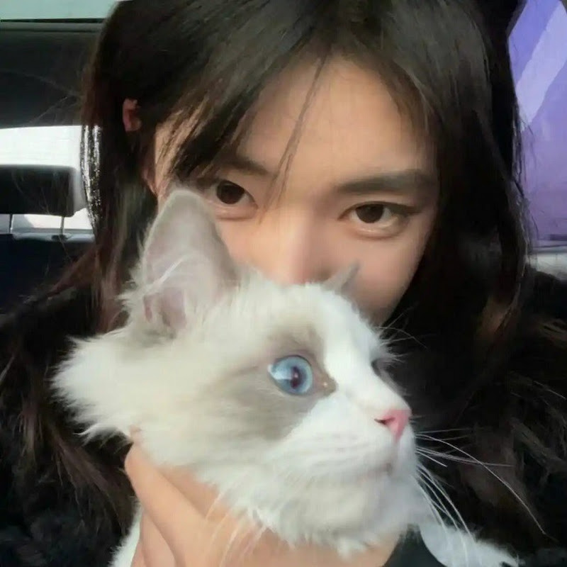 小鱼悬漫馆 Logo