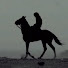aA6Bg8qgTlg-channel-avatar-The Muslim Compass