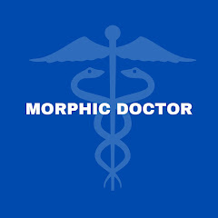 MORPHIC DOCTOR net worth