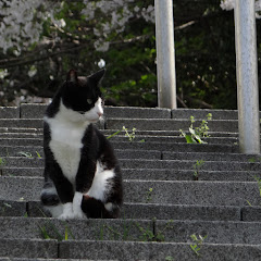 たく