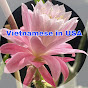 Vietnamese in USA logo