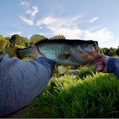 Carter Fishes