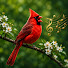 QNSw9mCFI4M-channel-avatar-Relaxing Music