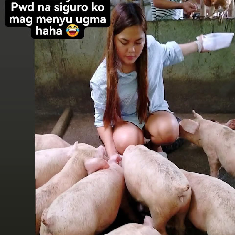 Rafales backyard Farming