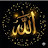 @mahmud4455