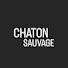 RttOgqFh4hE-channel-avatar-Chaton Sauvage