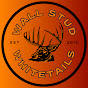 Wall Stud Whitetails logo