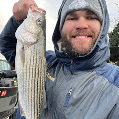 All Bass No Brakes