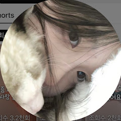 세은(접)