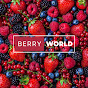 Berry World logo