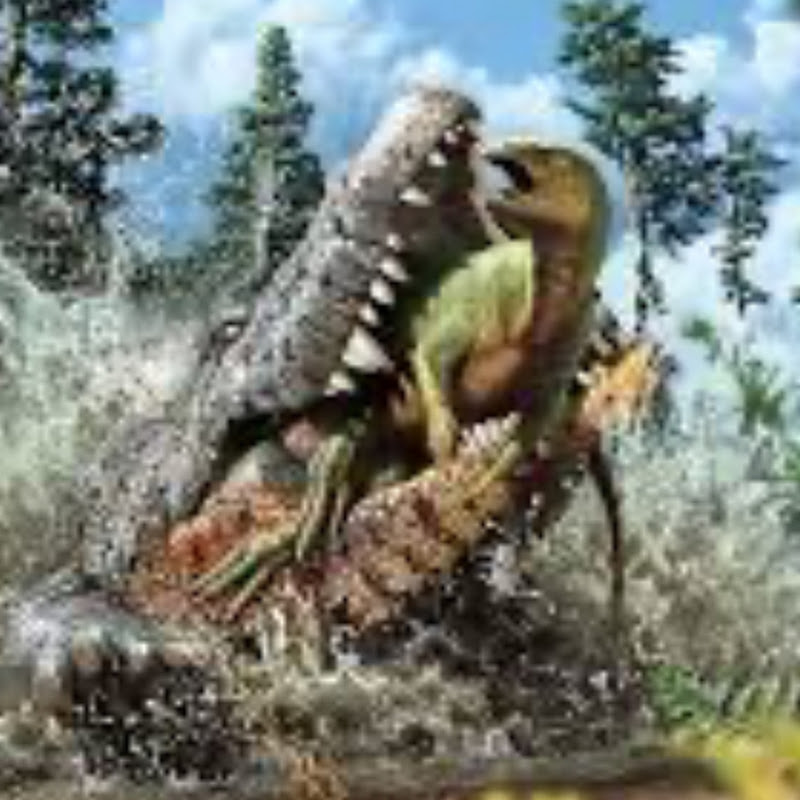 𝓙𝓾𝓻𝓪𝓼𝓼𝓲𝓬𝓗𝓸𝓻𝓻𝓸𝓻