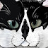 q0DcU7OgQWQ-channel-avatar-Kira