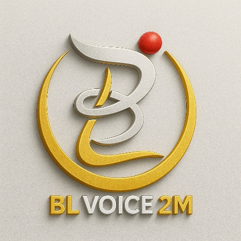 BL Voice 2M