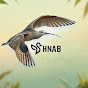 ndhXDW61Nd0-channel-avatar-Shnab