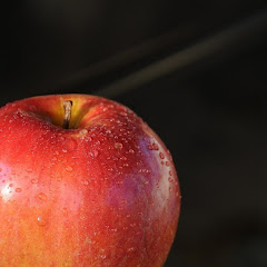 トリビアスタイル